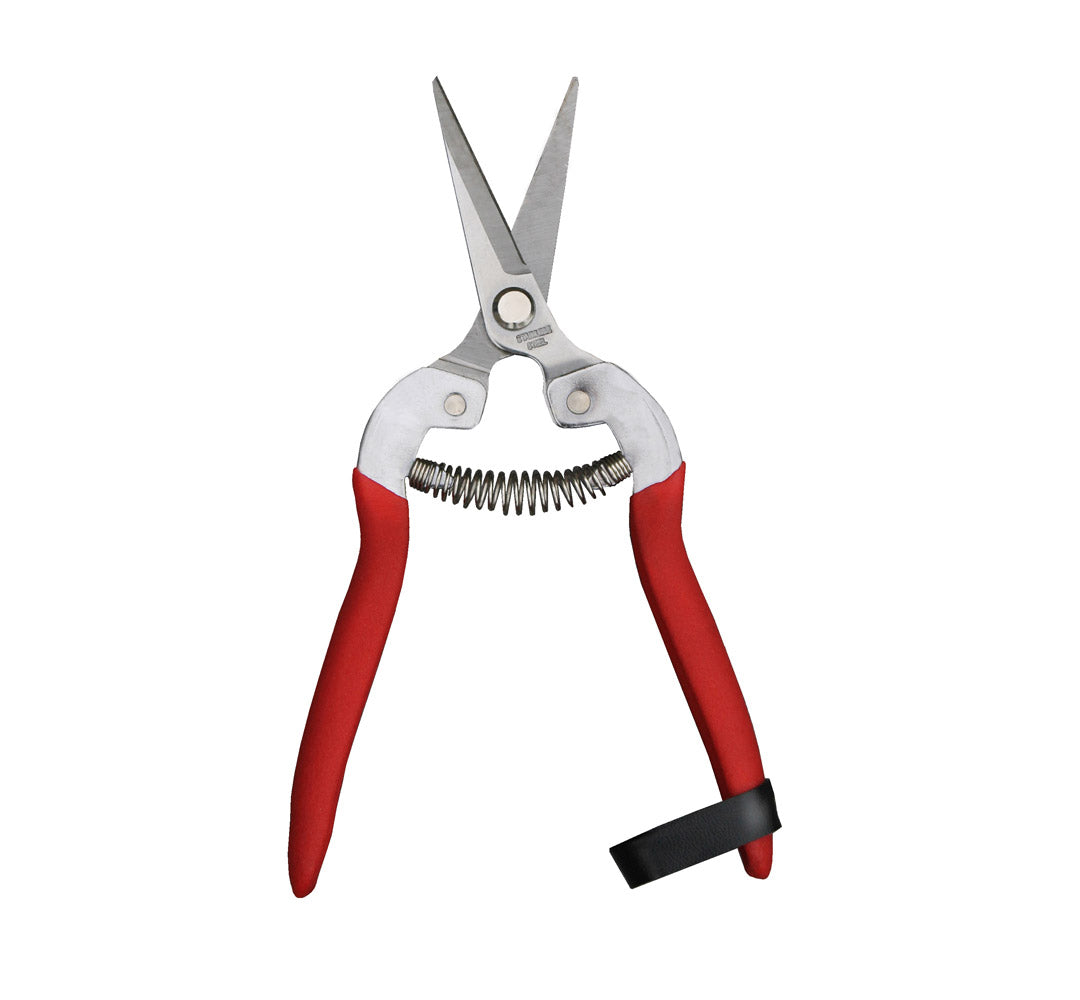Compact Pruning Shears, Garden of Paradise