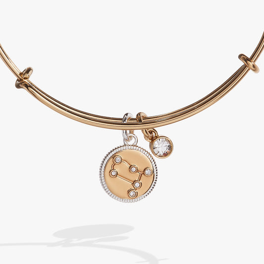 Gemini Zodiac Charm Bangle