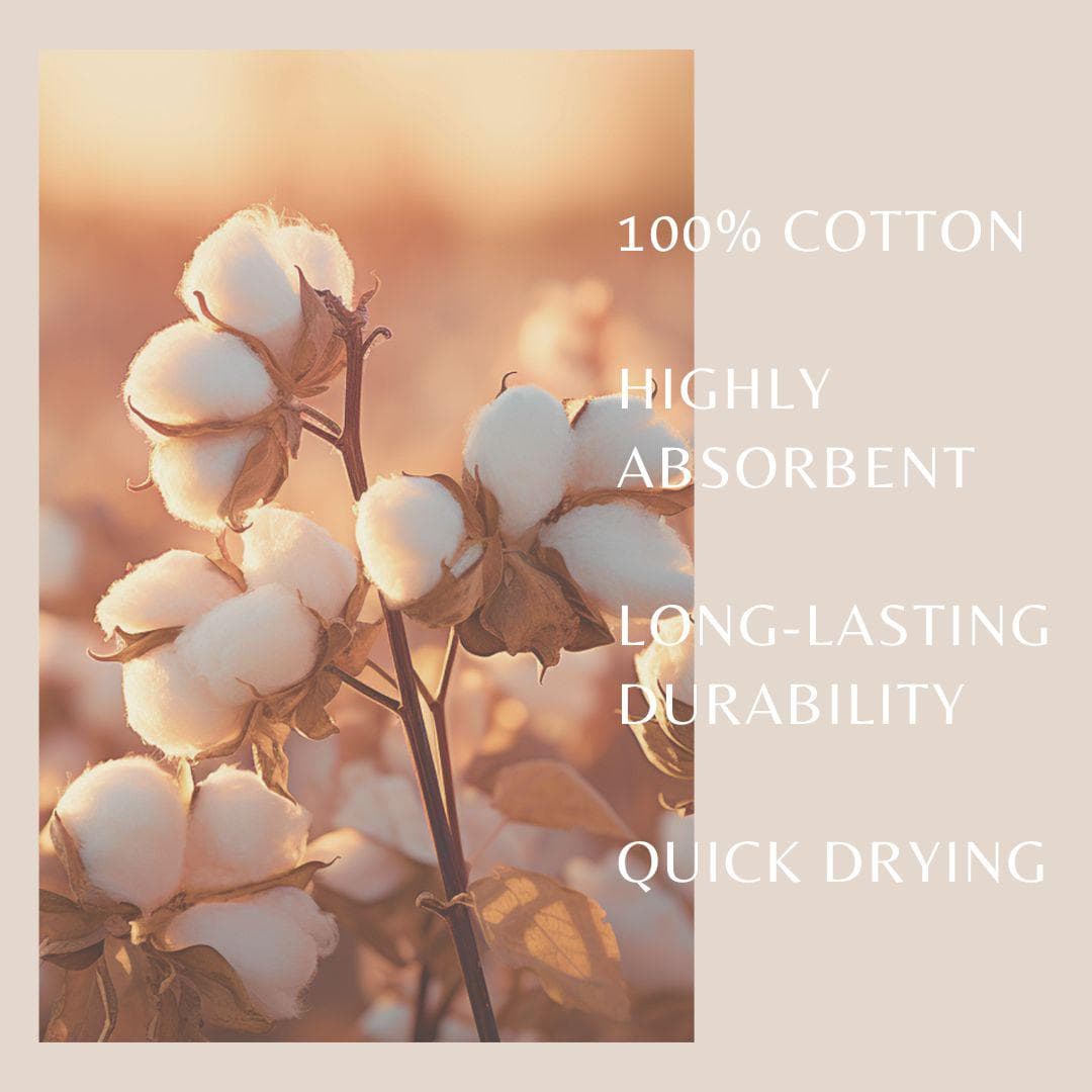 6 Pack Cotton Hand Towels - Kasper Collection