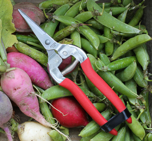 Compact Pruning Shears, Garden of Paradise