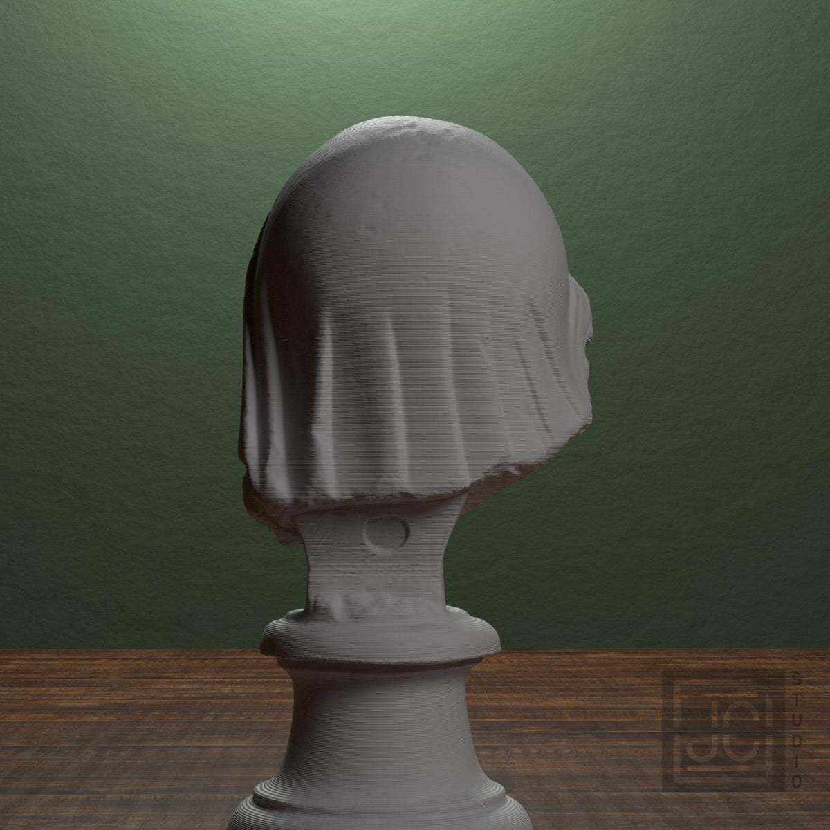 Head of the Mourning Penelope