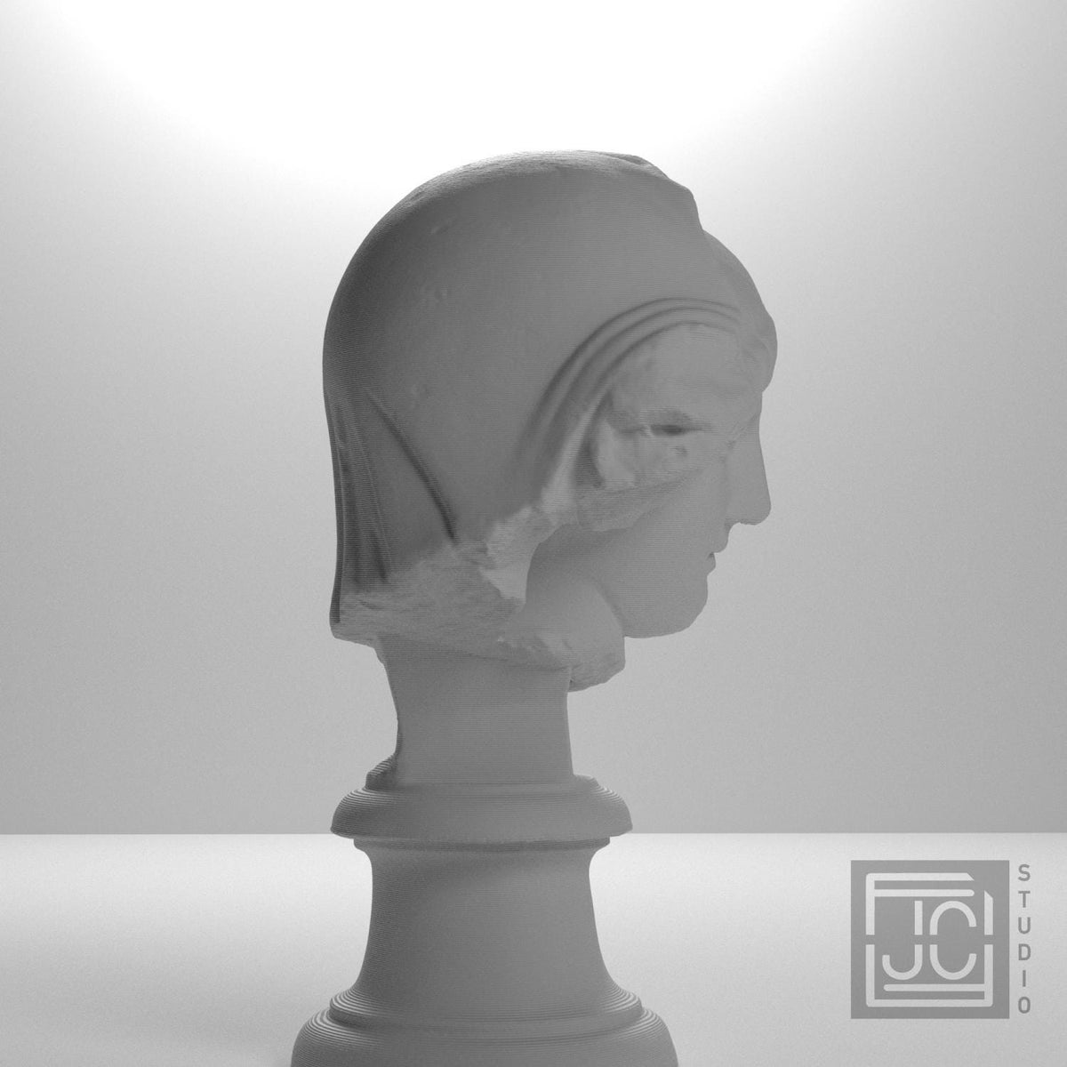 Head of the Mourning Penelope