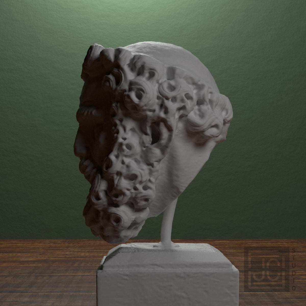 Head of a Bearded Man