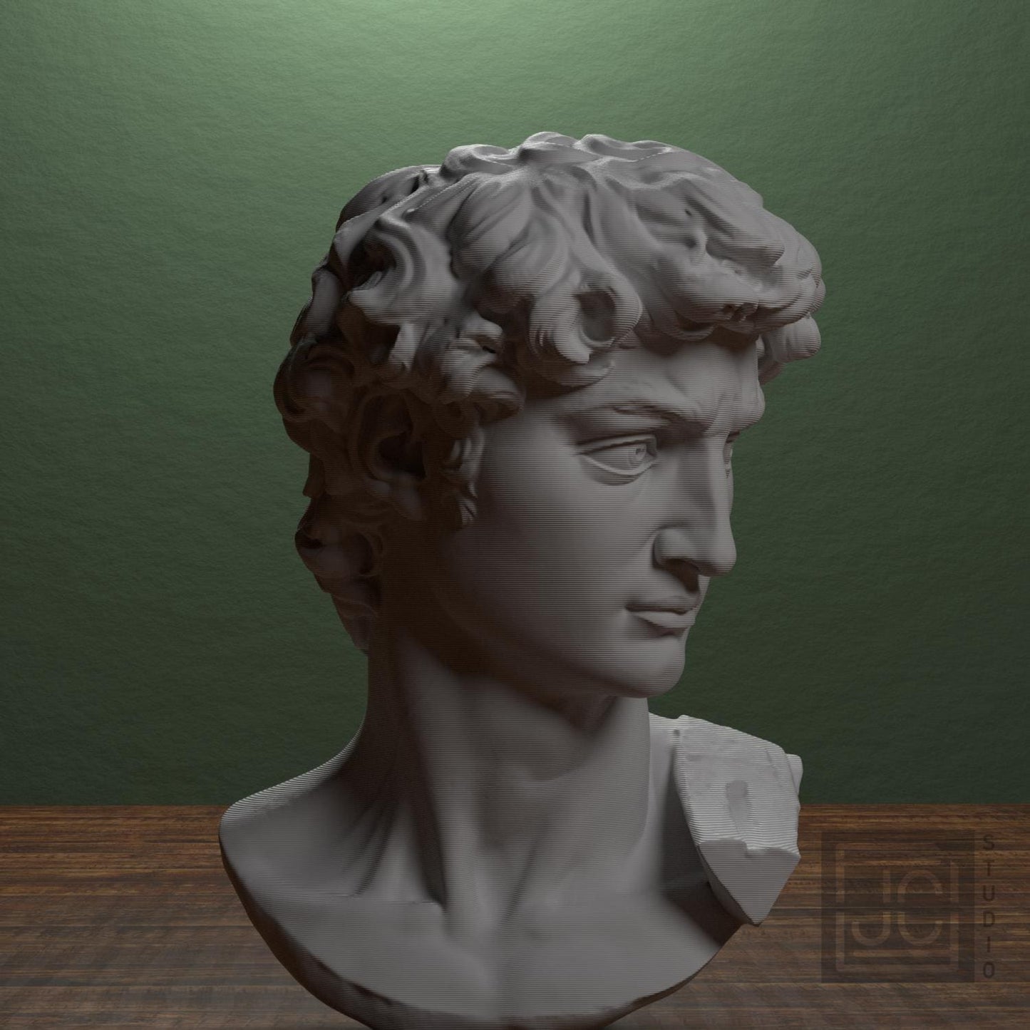 Head of Michelangelo's David