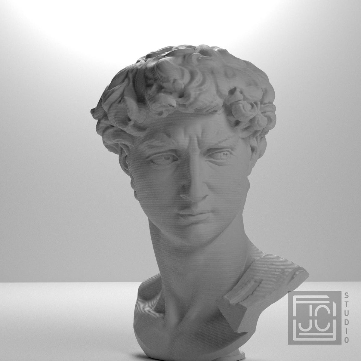 Head of Michelangelo's David