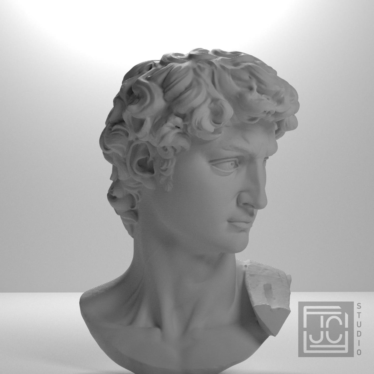 Head of Michelangelo's David