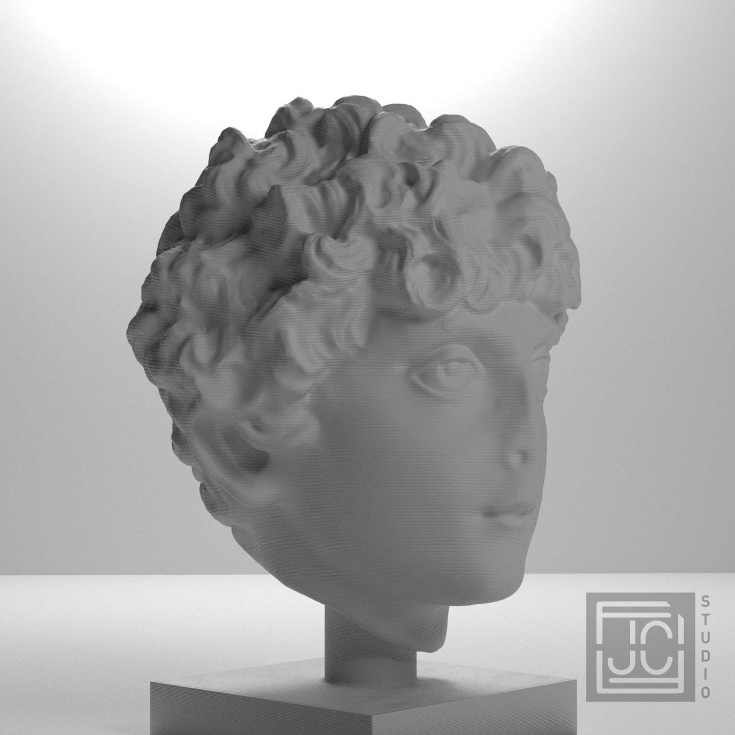 Head of a Roman Youth