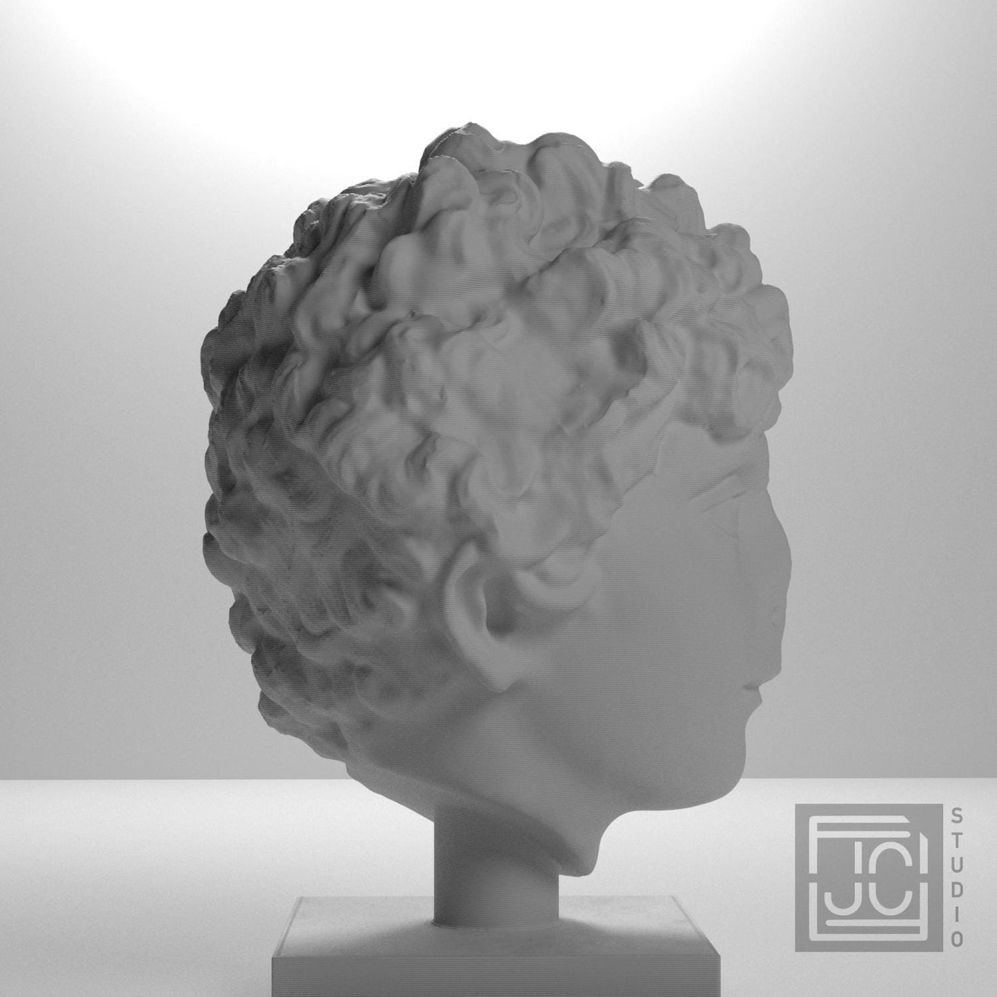 Head of a Roman Youth