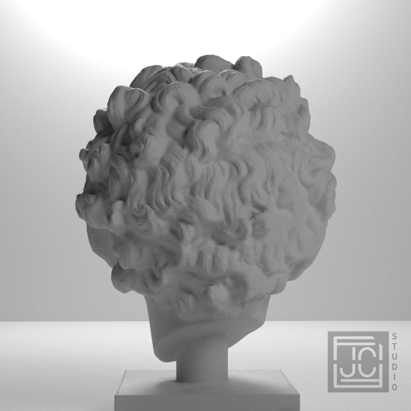 Head of a Roman Youth