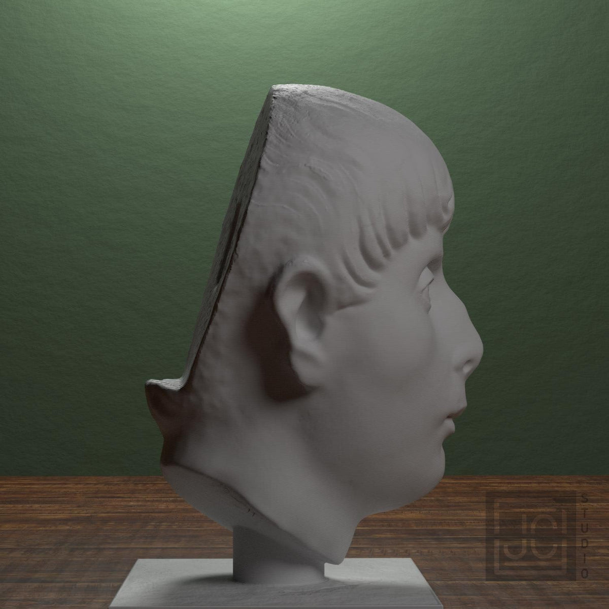 Head of a Young Man