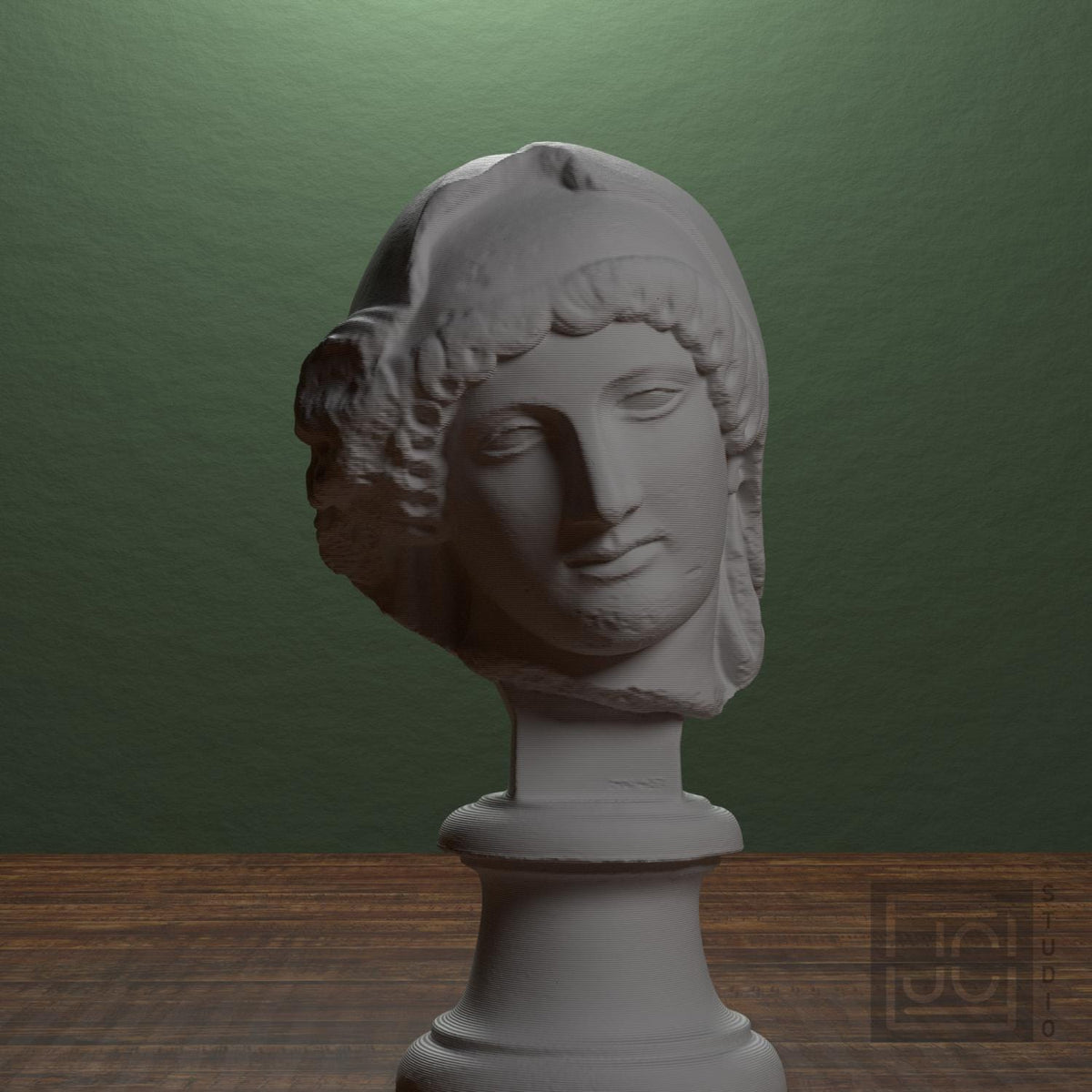 Head of the Mourning Penelope