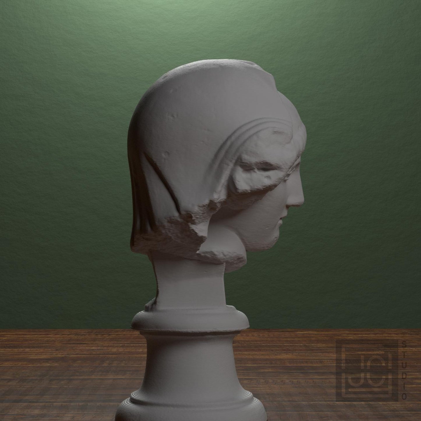 Head of the Mourning Penelope