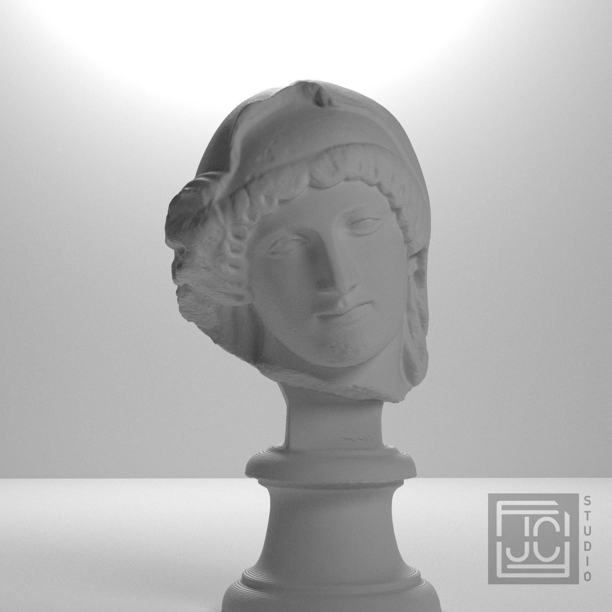 Head of the Mourning Penelope