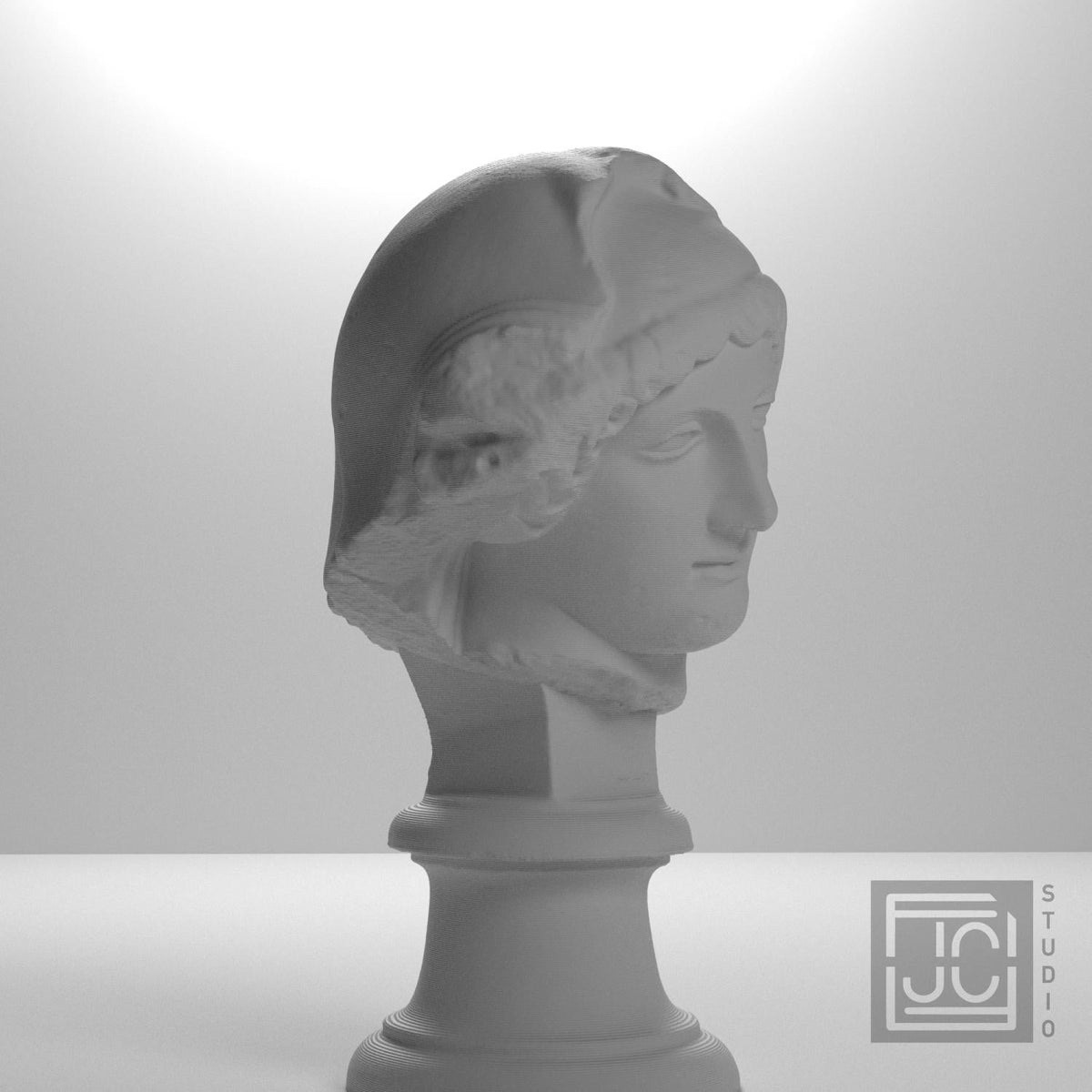 Head of the Mourning Penelope