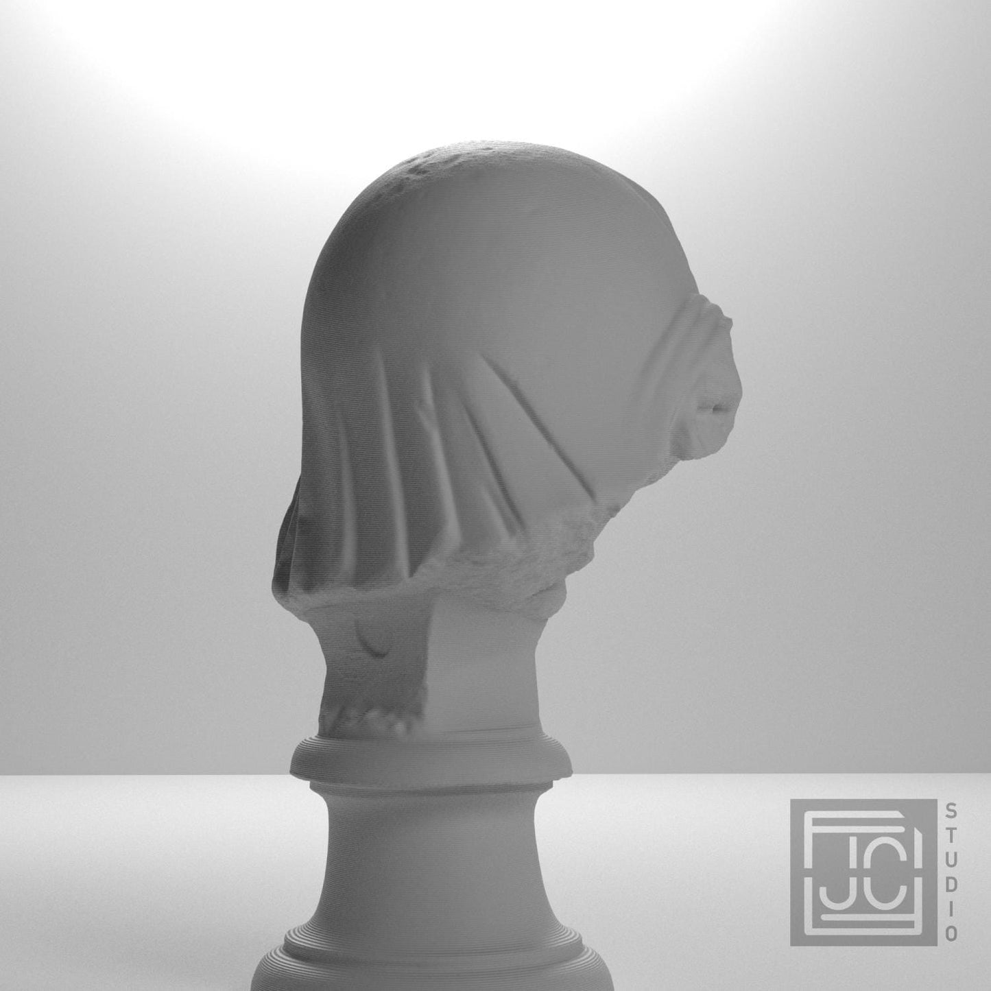 Head of the Mourning Penelope