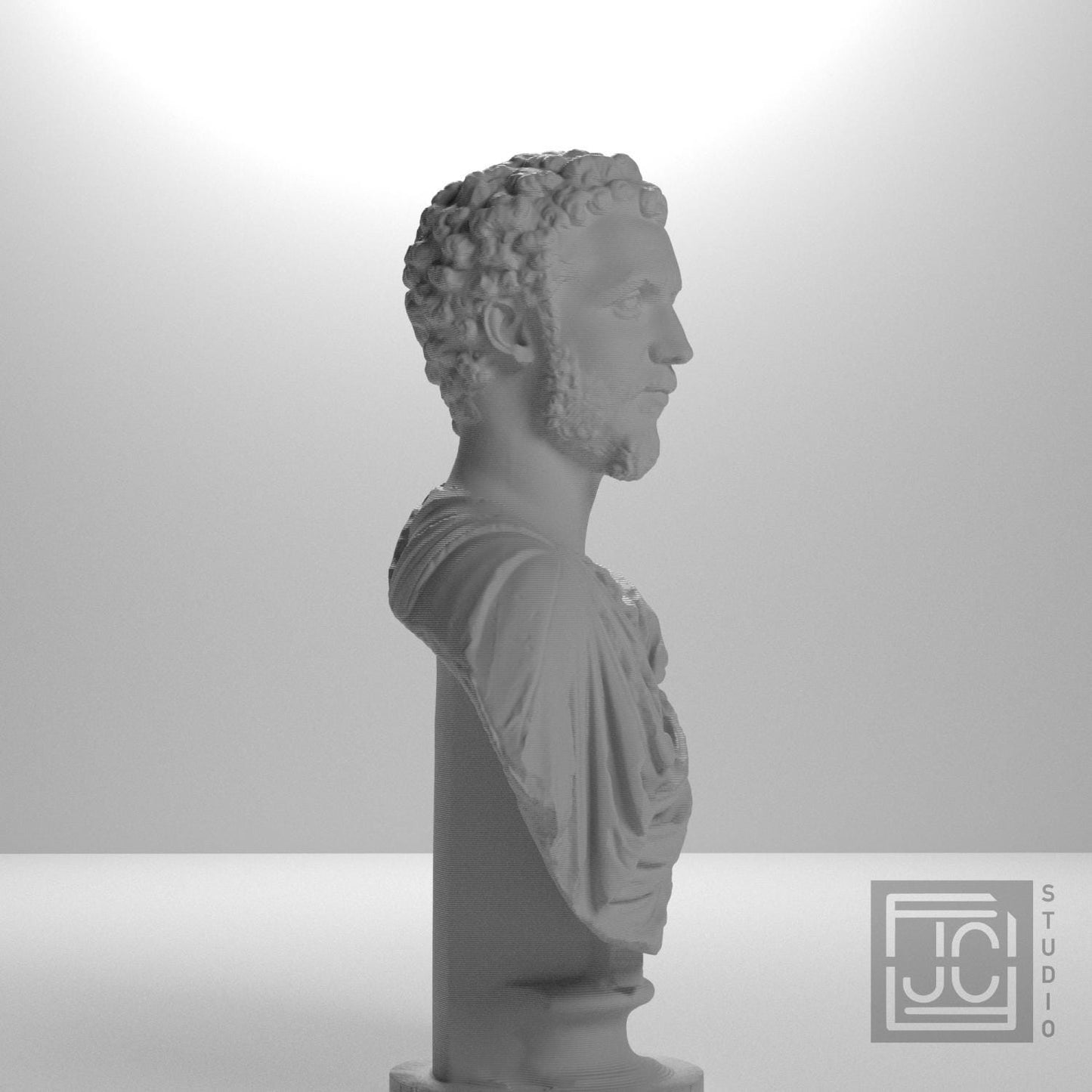 Portrait of a Man (Septimius Severus?)