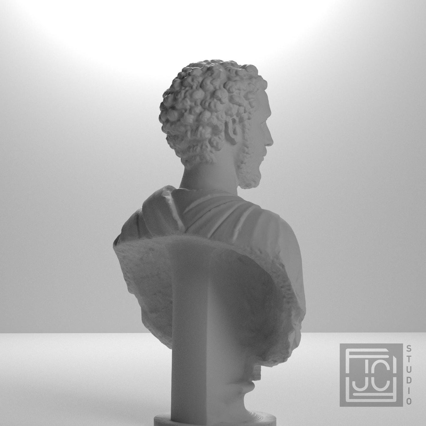 Portrait of a Man (Septimius Severus?)