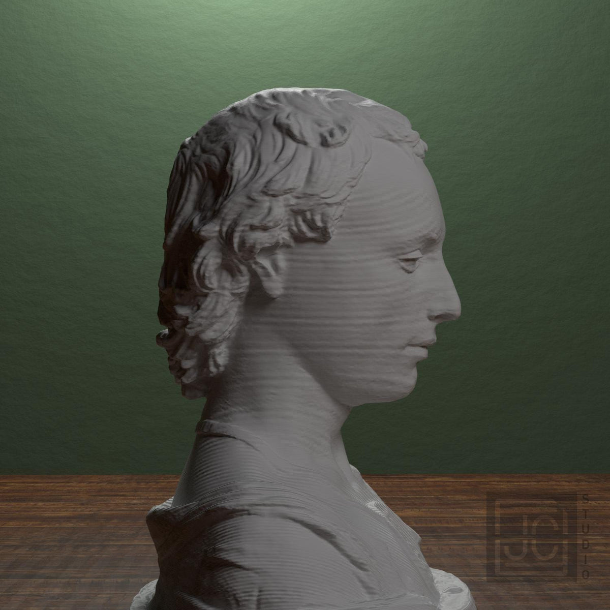 Bust of a Young Man with a Medallion