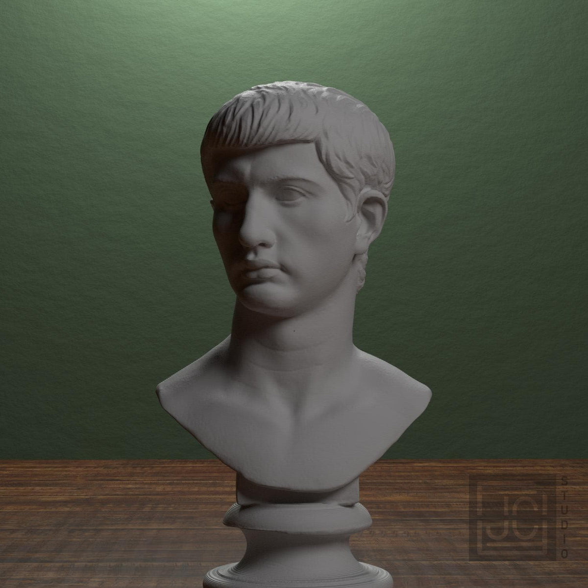 Portrait of an Augustine Prince Marcellus (?)