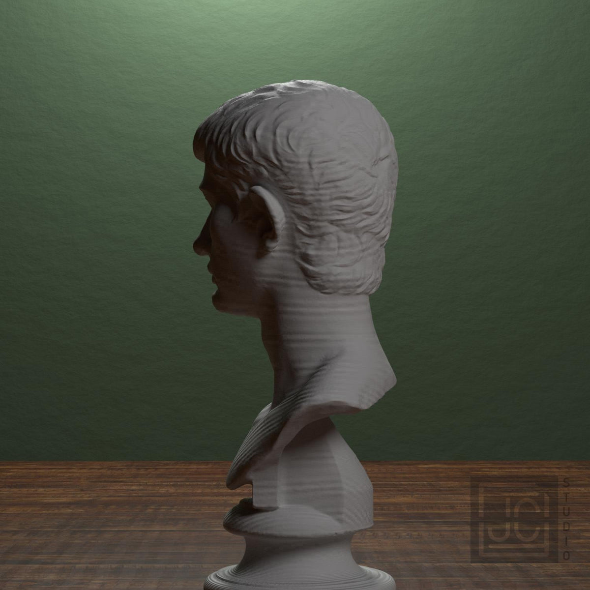 Portrait of an Augustine Prince Marcellus (?)