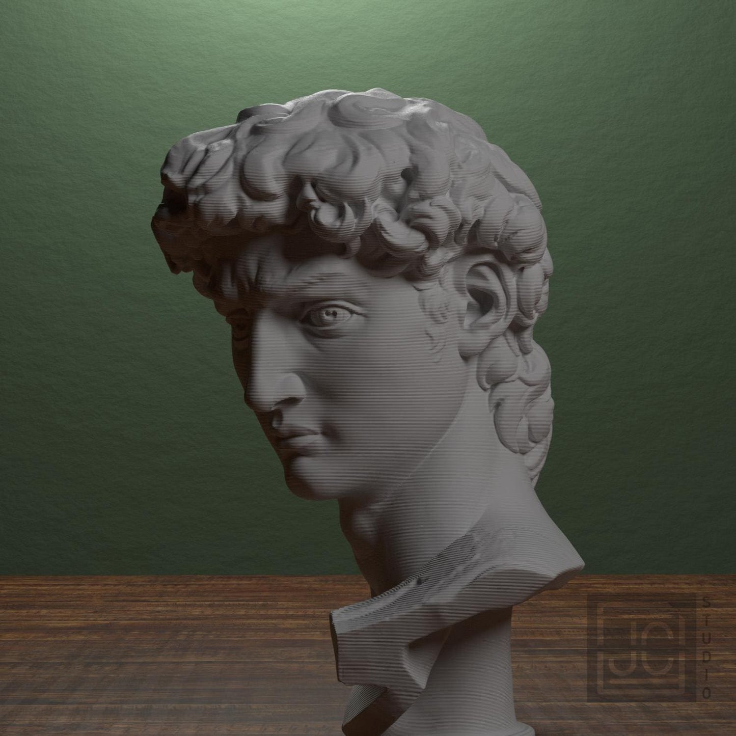 Head of Michelangelo's David