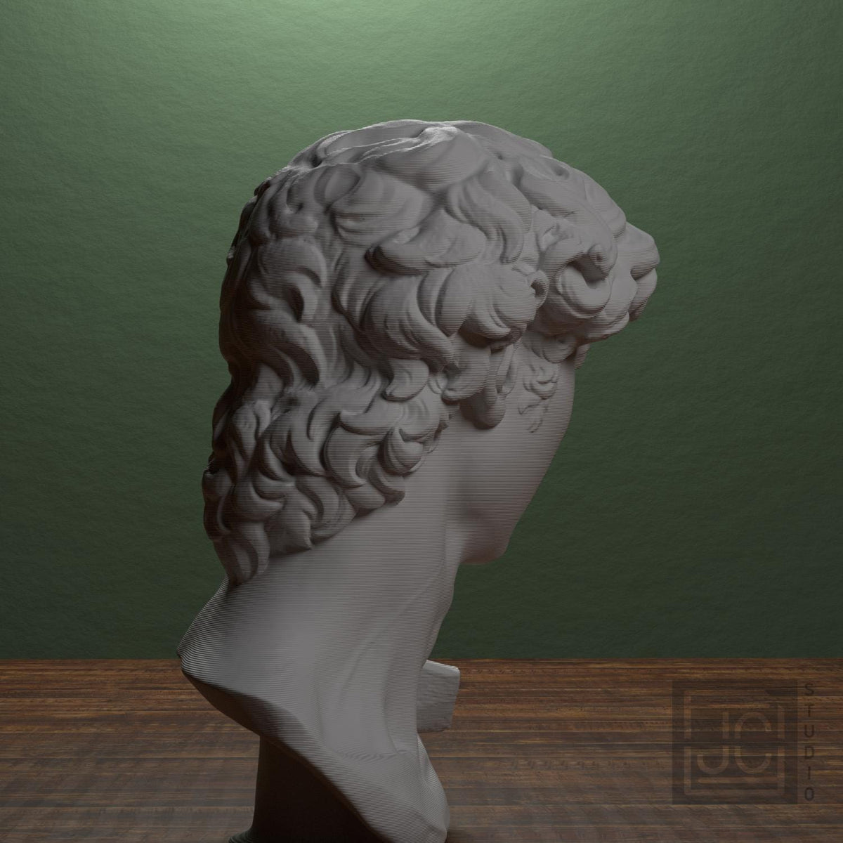 Head of Michelangelo's David