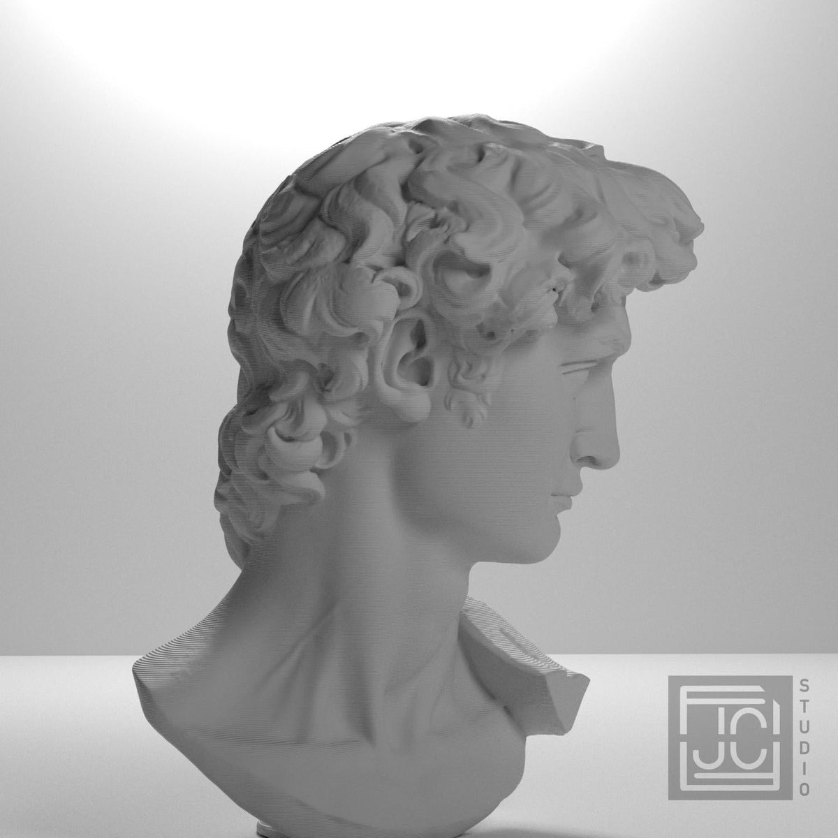 Head of Michelangelo's David
