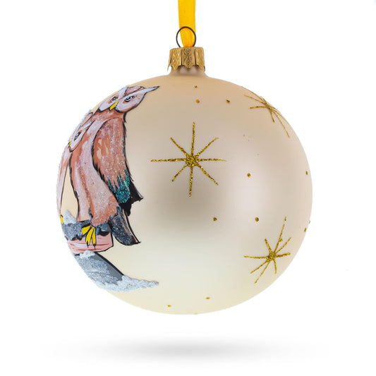 Two Owls Perched in Moonlight Glass Ball Christmas Ornament 4 Inches