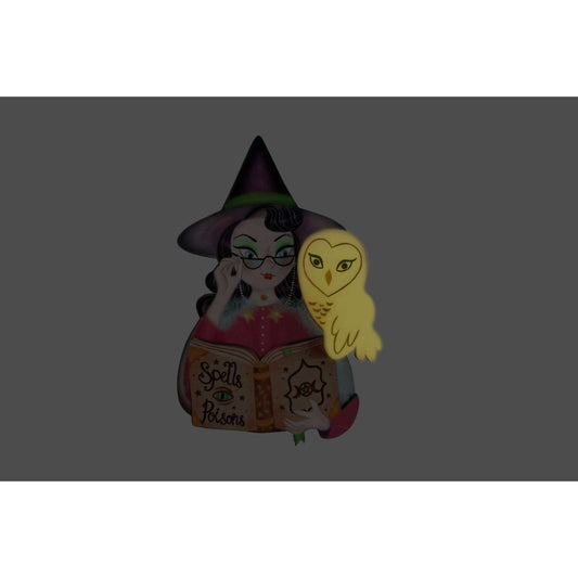 Witch with Owl Halloween Brooch by Laliblue