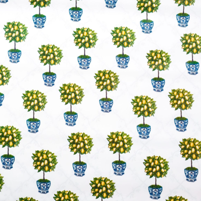 Reversible Lemon Topiary with Trellis Gift Wrap