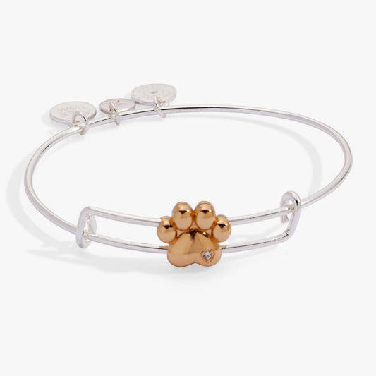 a silver and gold bracelet with a paw print