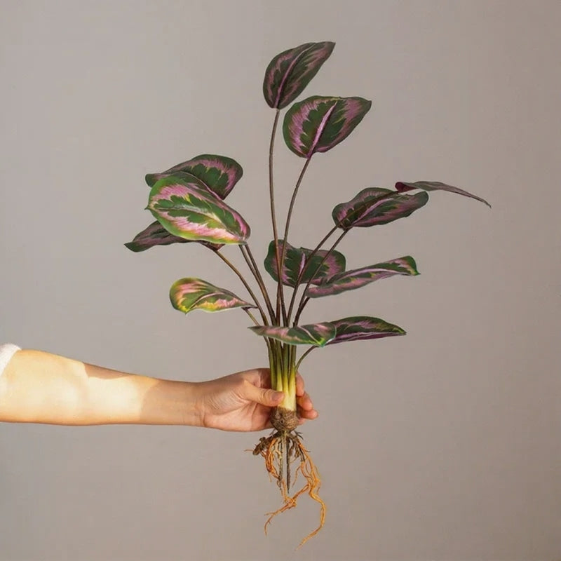 Wild Tropical Leaf Bunch