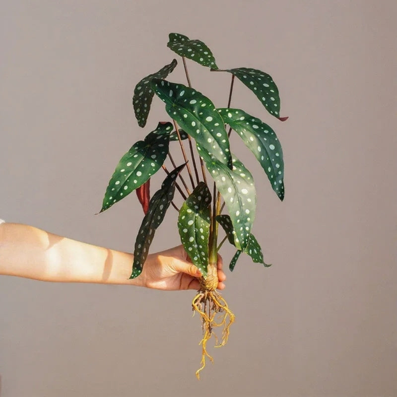 Wild Tropical Leaf Bunch