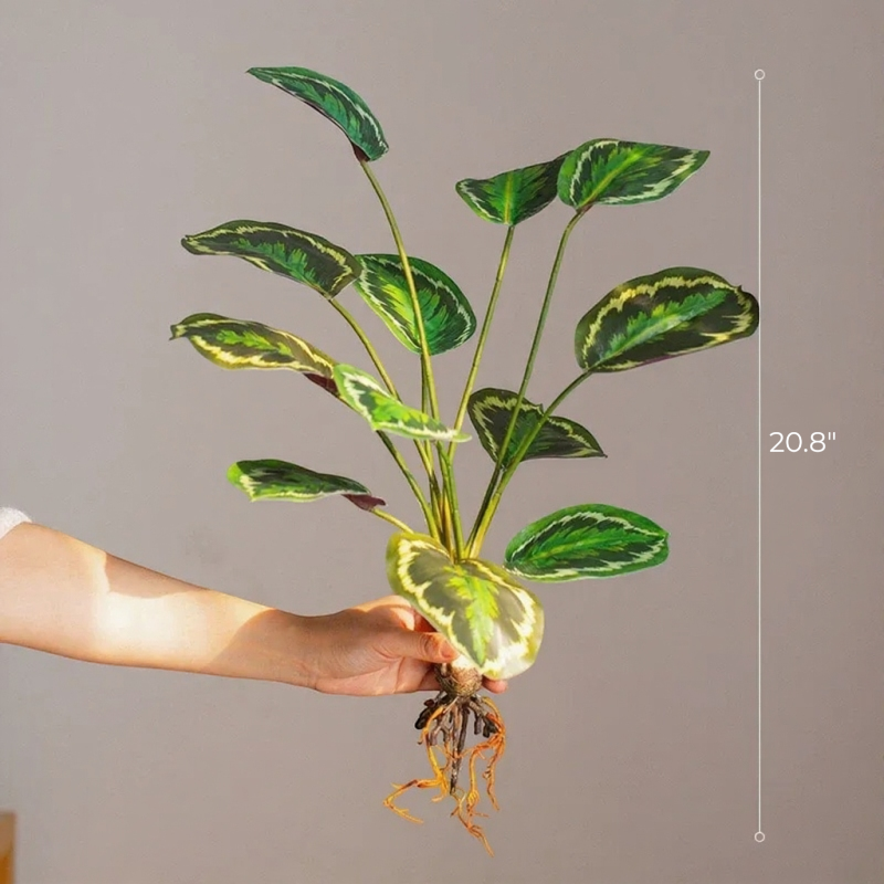 Wild Tropical Leaf Bunch