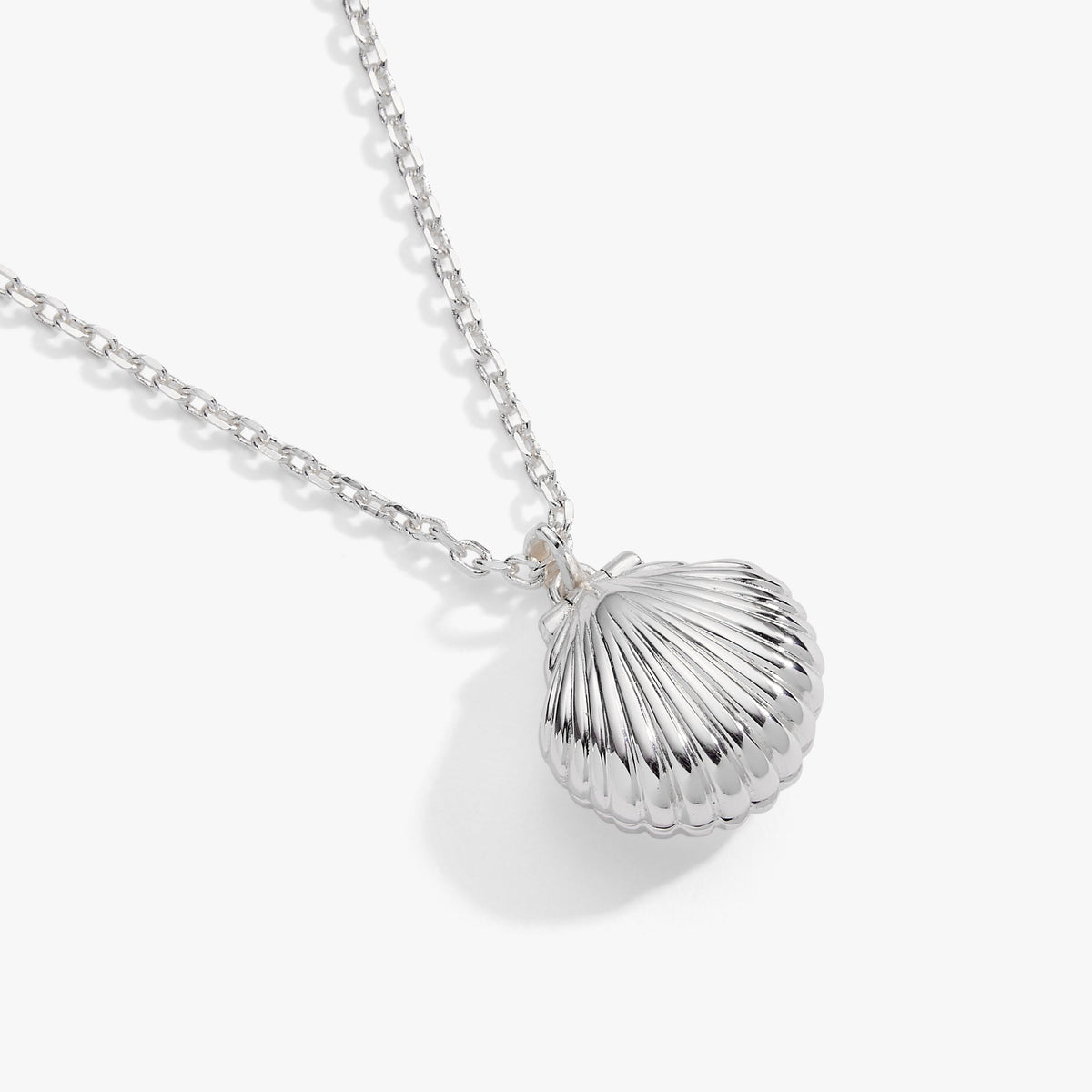 a silver shell necklace on a chain