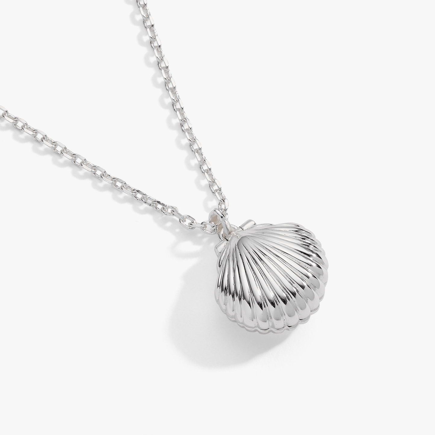 a silver necklace with a shell pendant