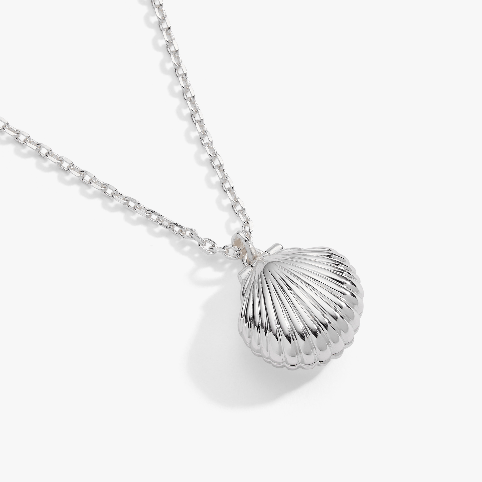 a silver necklace with a shell pendant