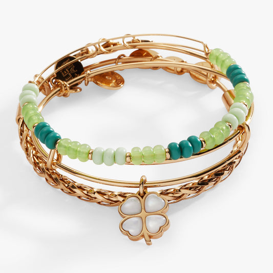 a close up of a bracelet