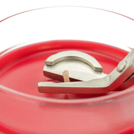 Stainless Steel Wick Trimmer (Collective)