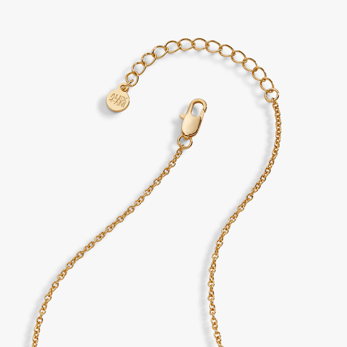a gold chain with a clasp