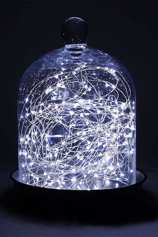 Silver Copper Fairy Lights with Timer