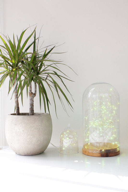 20 LED Silver Copper Fairy Lights - Battery Operated