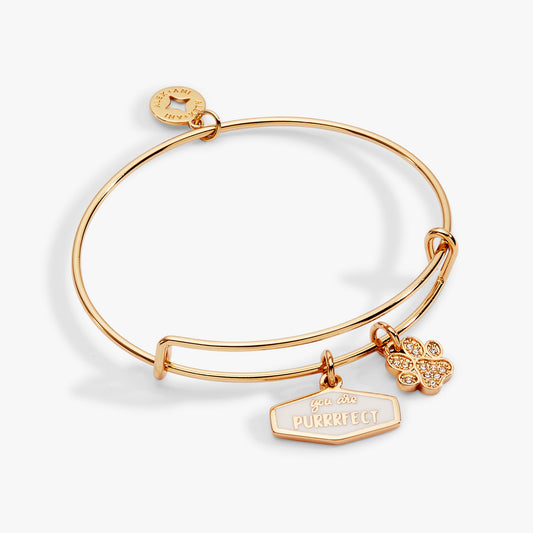 You Are Purrrfect Charm Bangle